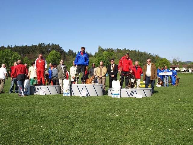 www.atibox.net * www.euroboxer.eu * www.boxergenealogia.eu